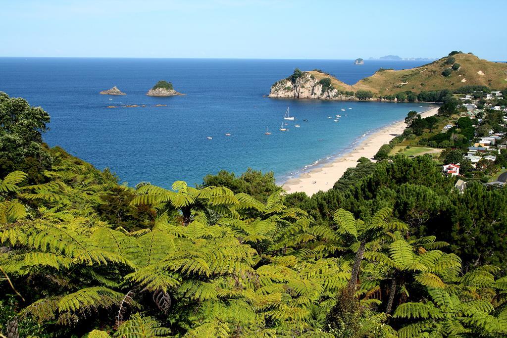 Hahei Beach Escape Екстер'єр фото